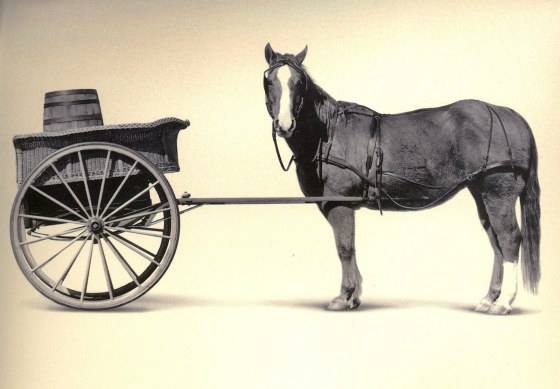 Horse First – Then The Cart