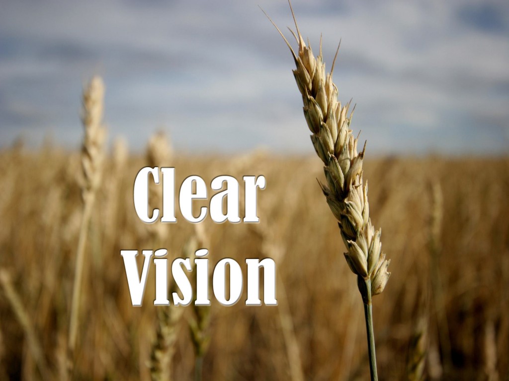 Clear Vision - Courtship vs Dating
